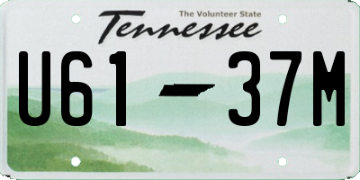 TN license plate U6137M