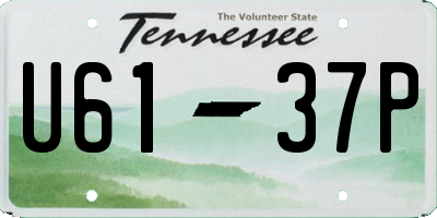 TN license plate U6137P