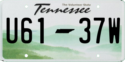 TN license plate U6137W