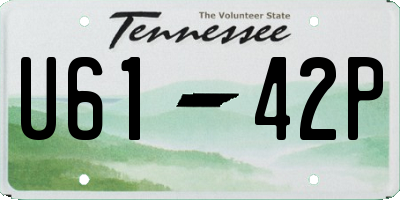 TN license plate U6142P