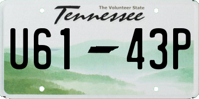 TN license plate U6143P