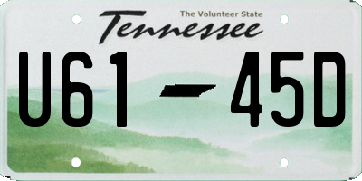 TN license plate U6145D