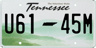 TN license plate U6145M