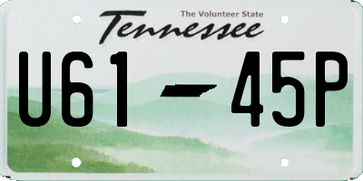 TN license plate U6145P