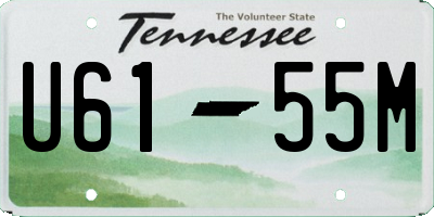 TN license plate U6155M