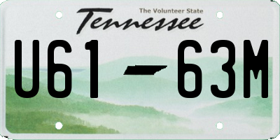 TN license plate U6163M