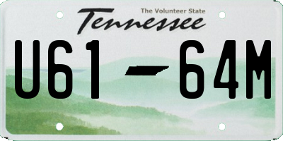 TN license plate U6164M