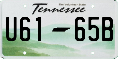 TN license plate U6165B