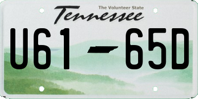 TN license plate U6165D