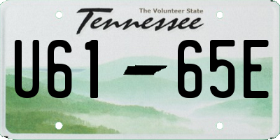 TN license plate U6165E