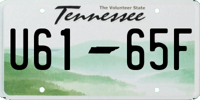 TN license plate U6165F
