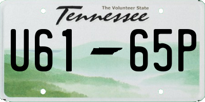 TN license plate U6165P