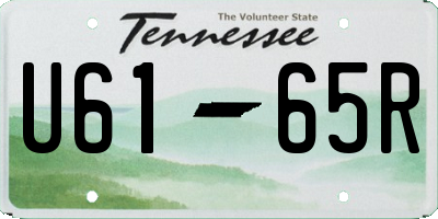 TN license plate U6165R