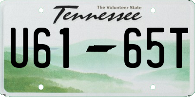 TN license plate U6165T