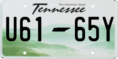 TN license plate U6165Y
