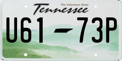 TN license plate U6173P