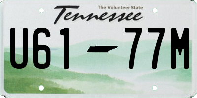 TN license plate U6177M