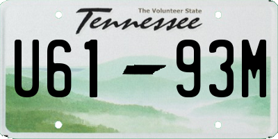 TN license plate U6193M