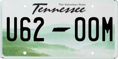 TN license plate U6200M