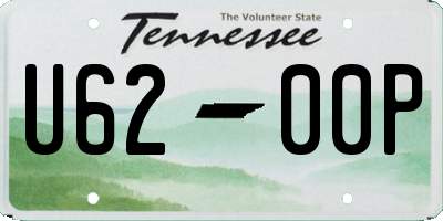 TN license plate U6200P