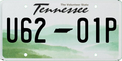 TN license plate U6201P