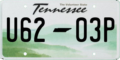 TN license plate U6203P