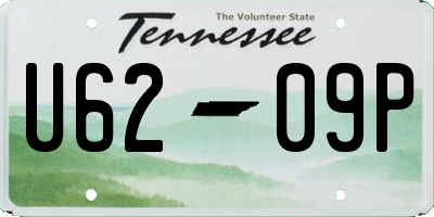 TN license plate U6209P