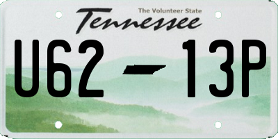 TN license plate U6213P