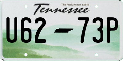 TN license plate U6273P