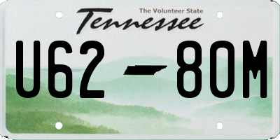 TN license plate U6280M