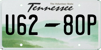TN license plate U6280P