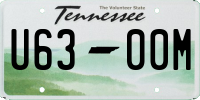 TN license plate U6300M