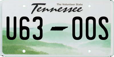 TN license plate U6300S