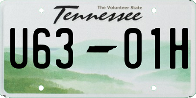 TN license plate U6301H