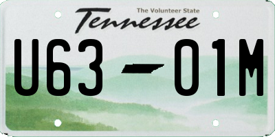 TN license plate U6301M