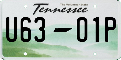 TN license plate U6301P