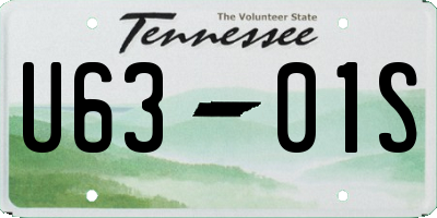 TN license plate U6301S