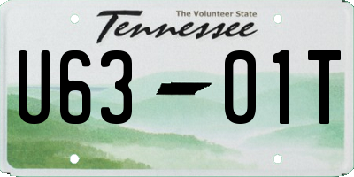 TN license plate U6301T