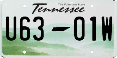 TN license plate U6301W