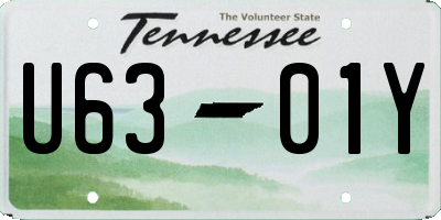 TN license plate U6301Y