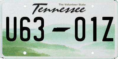 TN license plate U6301Z