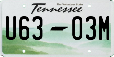TN license plate U6303M