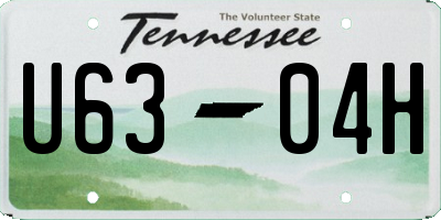 TN license plate U6304H