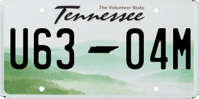 TN license plate U6304M
