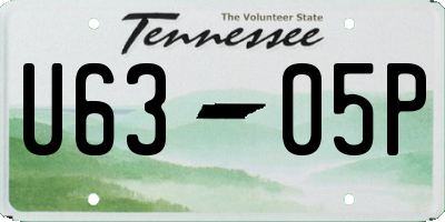 TN license plate U6305P