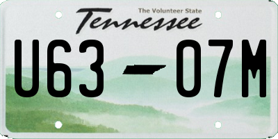 TN license plate U6307M