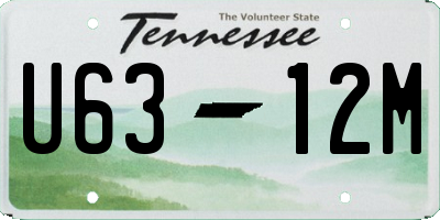 TN license plate U6312M