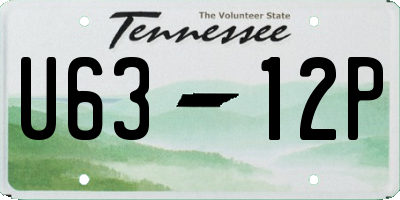 TN license plate U6312P