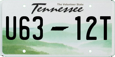 TN license plate U6312T