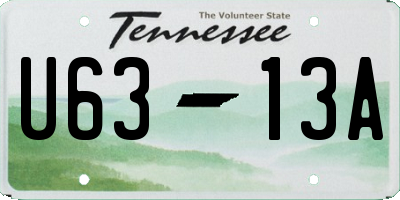 TN license plate U6313A